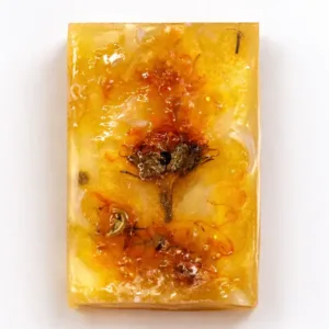 Handmade vanilla soap with flowers on white background