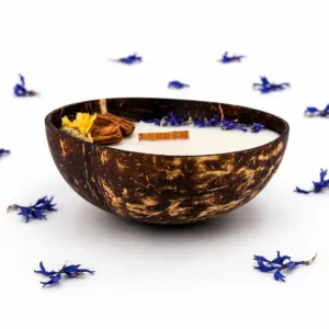 Coconut Escape natural handmade candle in coconut shell Karina Naturals