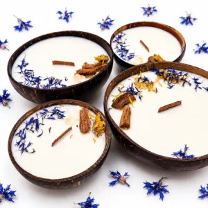 Coconut Escape natural handmade candle in coconut shell Karina Naturals