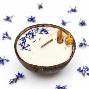 Coconut Escape natural handmade candle in coconut shell Karina Naturals