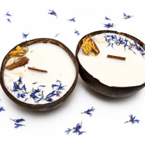 Coconut Escape natural handmade candle in coconut shell Karina Naturals