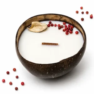 Karina Naturals sauvage coconut shell candle handmade with natural coconut wax and botanicals