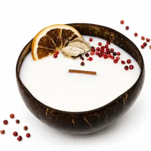 Karina Naturals sauvage coconut shell candle handmade with natural coconut wax and botanicals