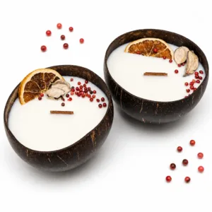 Karina Naturals sauvage coconut shell candle handmade with natural coconut wax and botanicals